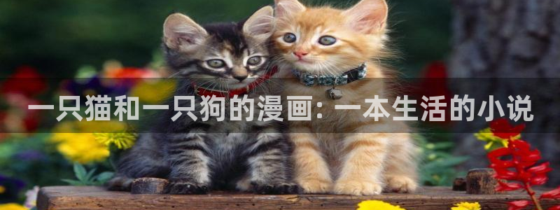 香蕉文化一漫画：一只猫和一只狗的漫画: 一本生活的小说