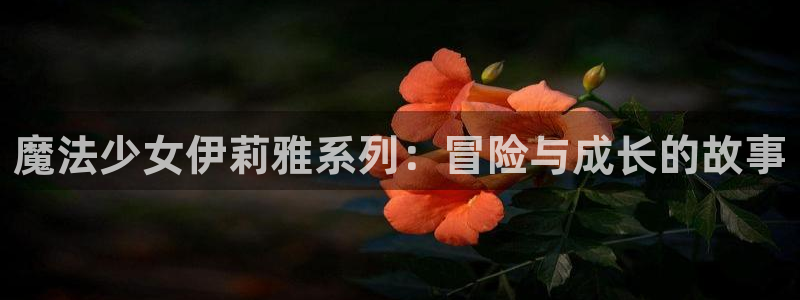 香蕉漫画下拉式小说：魔法少女伊莉雅系列：冒险与成长的故事