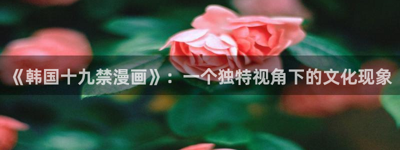 香蕉漫画破解：《韩国十九禁漫画》：一个独特视角下的文化现象
