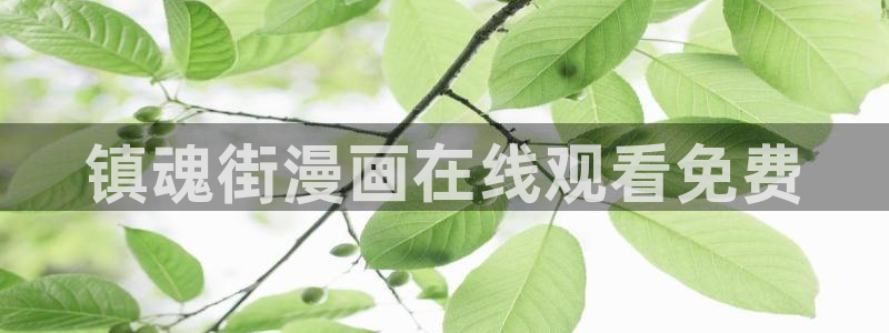 香蕉文化漫画书免费阅读在线阅读：镇魂街漫画在线观看免费
