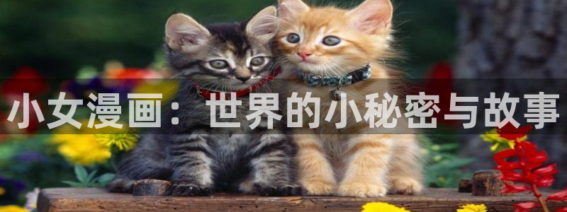香蕉文化漫画app：小女漫画：世界的小秘密与故事